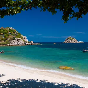 Coral View Thailand